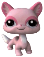 1313 Cat