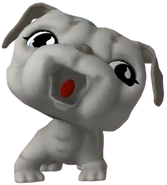 508 Sportiest Bulldog