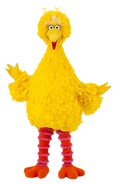 Big Bird