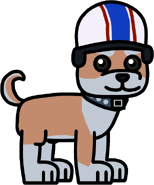 Chico