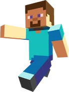 Steve
