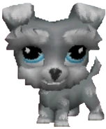 1006 Schnauzer