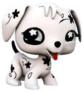 469 Cuddliest Dalmatian