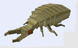 beetle erebus wiki