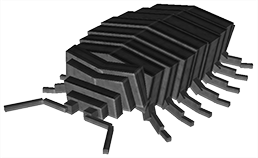 beetle erebus wiki beetle erebus wiki