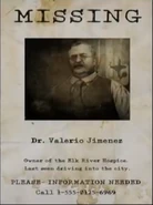 Missing person poster