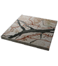 TEW1 Map Fragment 23