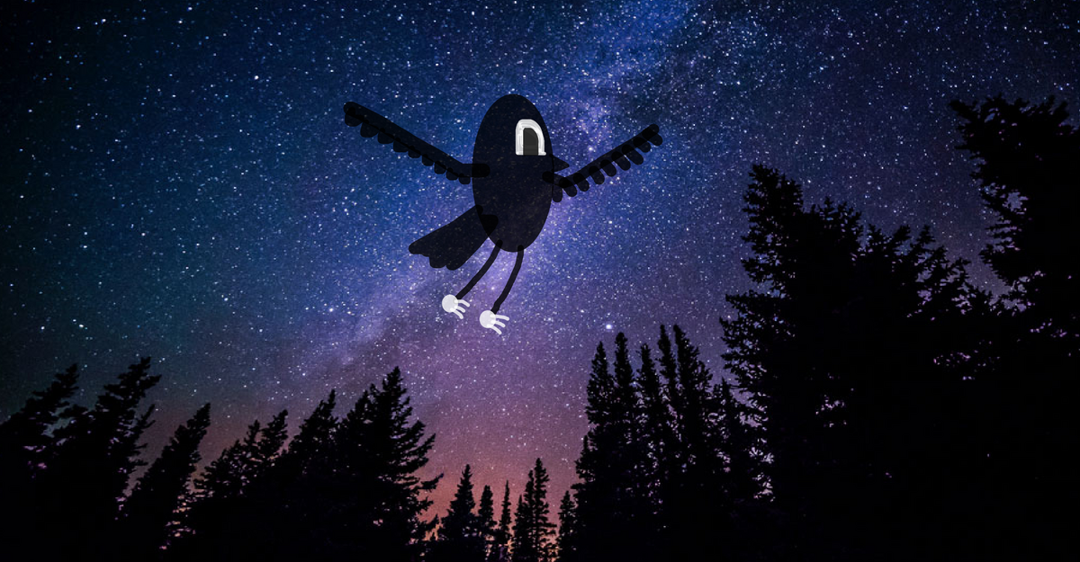 Cartoon Bird | The Fanmade Trevor Henderson Wiki | Fandom