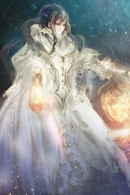Gracefeel (Light Novel)