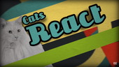 Cats React