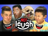 Try to Watch This Without Laughing or Grinning (Episode)