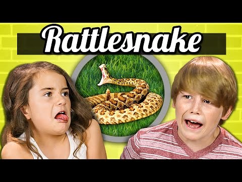 Children's python - Wikipedia