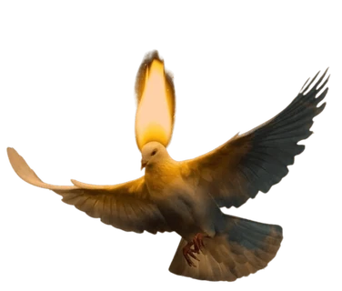 The Firestarters Wiki