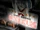 Bon's Burgers: After Hours