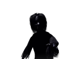 The Ghost (JR's)
