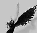 LadyMidnight248