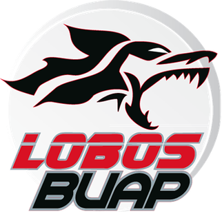 Lobos BUAP | Football Wiki | Fandom