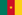 Flag of Cameroon