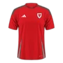 Wales 2024 home