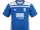 2018–19 Birmingham City F.C. season