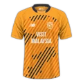 Cardiff City 2025-26 third