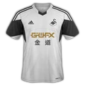 Swansea City 2013–14 home