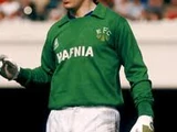 Neville Southall