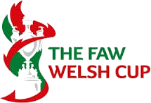 Welsh Cup - Wikipedia