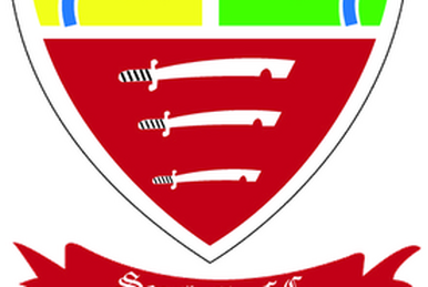Stoke City F.C. - Wikipedia