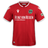 Hannover 96 2020-21 home