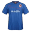 Cardiff City 2013–14 third
