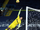 2020-21 Premier League Match day 13.8.webp
