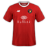 Ebbsfleet United 2020-21 home