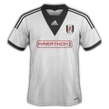 Fulham 2013–14 home
