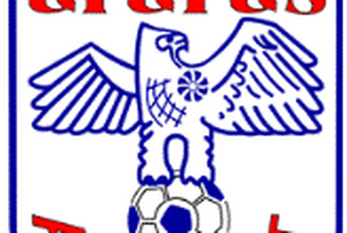 U.S. Arezzo Football Wiki Fandom