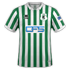 Blyth Spartans 2020-21 home