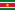 Flag of Suriname