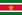 Flag of Suriname
