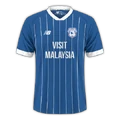 Cardiff City 2025-26 home