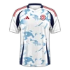 Costa Rica 2024 away