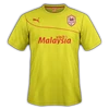 Cardiff City 2013–14 away