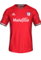 Cardiff City 2016-17 away