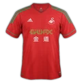 Swansea City 2013–14 third