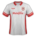 Cardiff City 2014-15 third