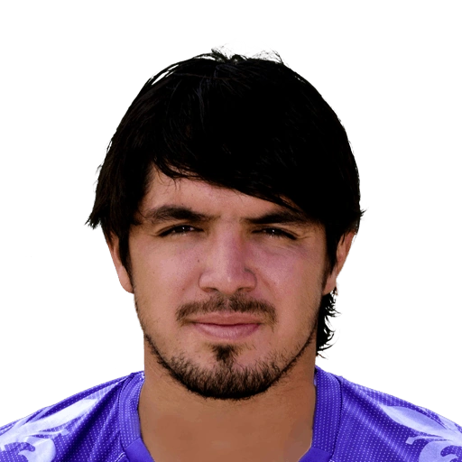 Juan Manuel Vargas | Football Wiki | Fandom