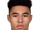 André Green