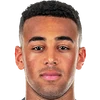 Tyler Adams