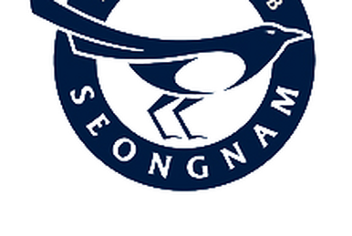 Pohang Steelers - Wikipedia