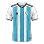 Botswana 2025 home