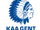 K.A.A. Gent
